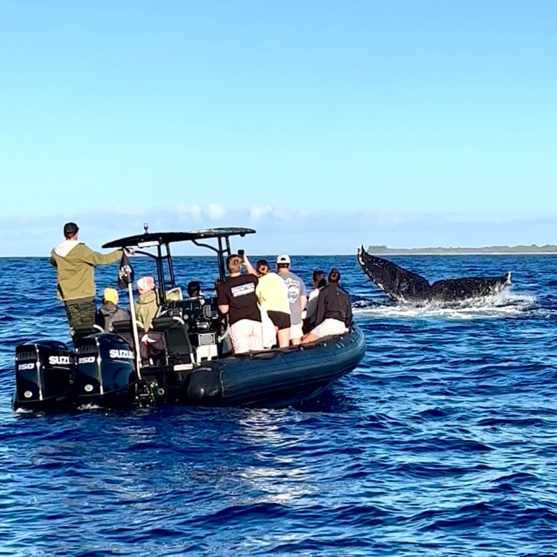 a group of people on a boat in the water