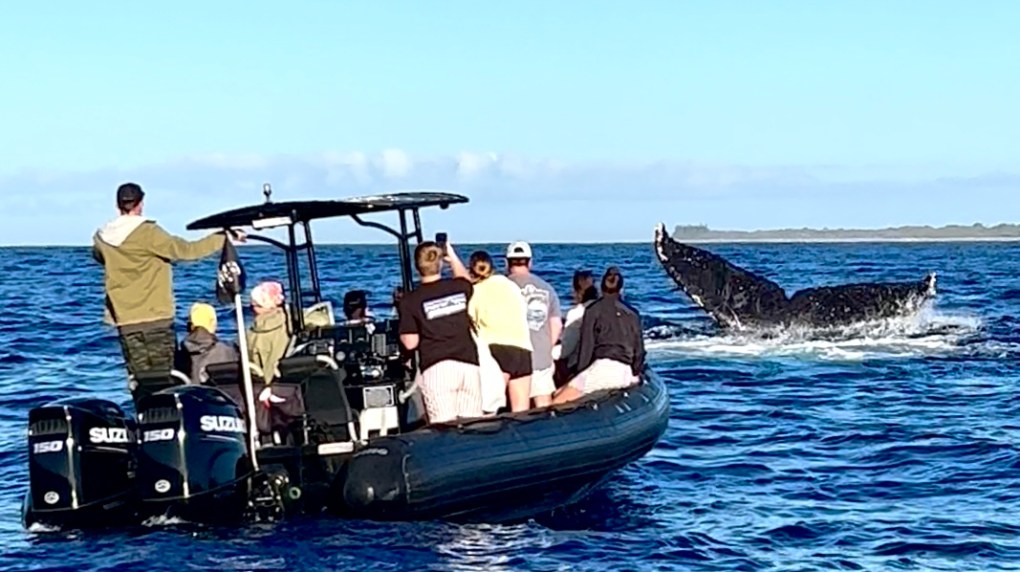 a group of people on a boat in the water