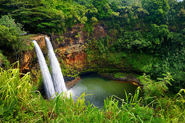 a waterfall surrounded by green grass and trees